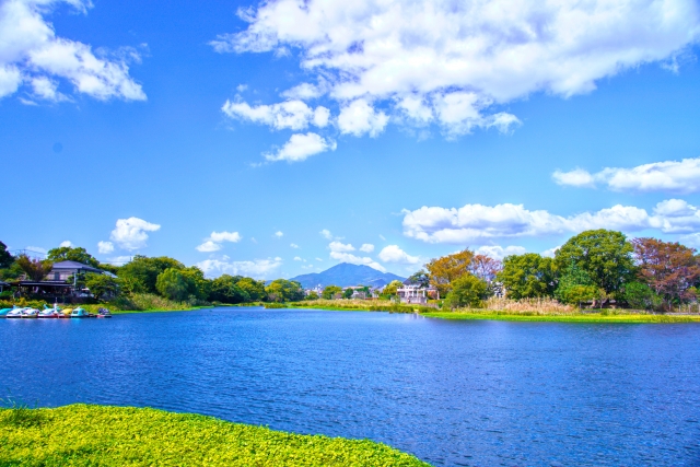 水前寺江津湖と金峰山